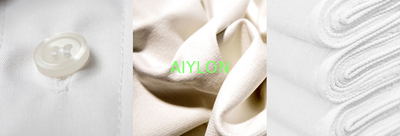 AIYLON COMPANY LIMITED Profilo aziendale